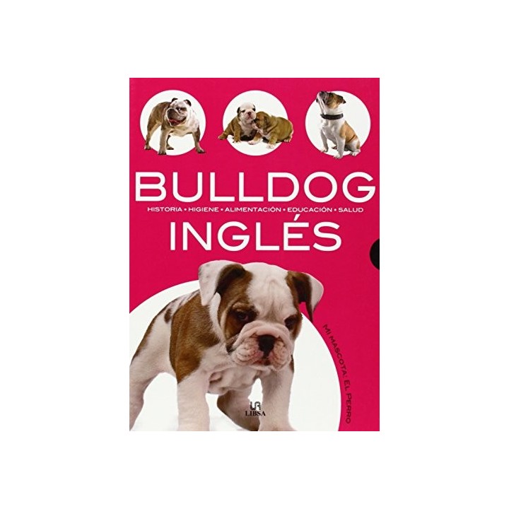 Bulldog Inglés Historia, Higiene, Alimentación, Educación y Salud